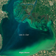 Illustration for article titled Get Lost in the Swirling Green Seas of a Massive Algae Bloom